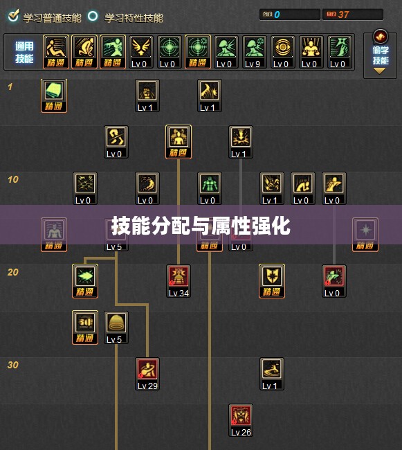 DNF女气功加点攻略，技能分配与属性强化