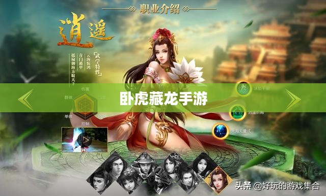 卧虎藏龙手游，探索江湖的无尽魅力