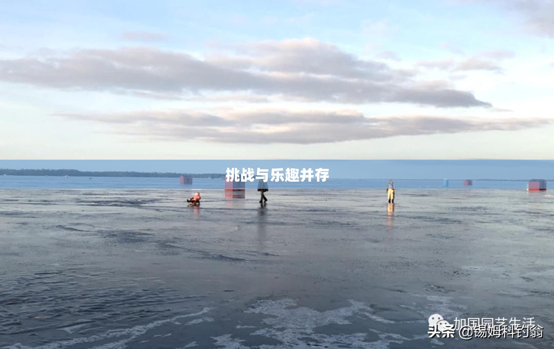 消星星游戏，挑战与乐趣并存