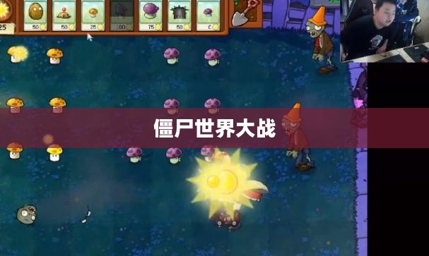 僵尸世界大战，生存与挑战