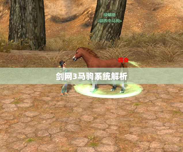 剑网3马驹系统解析