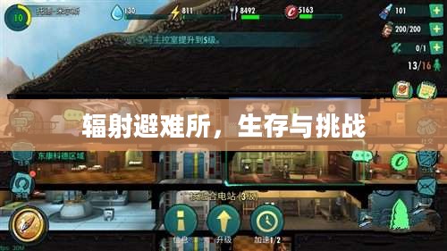 辐射避难所，生存与挑战
