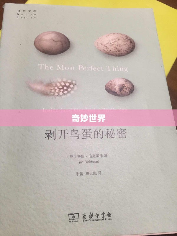 蛋蛋鸟的奇妙世界