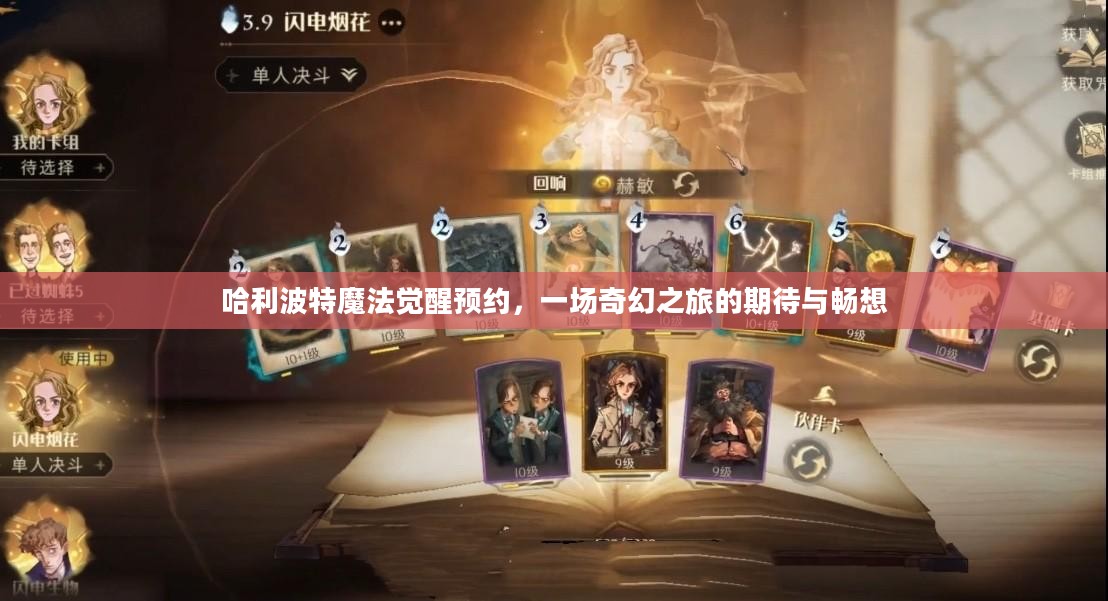 哈利波特魔法觉醒预约，一场奇幻之旅的期待与畅想