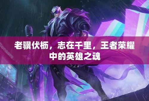 老骥伏枥，志在千里，王者荣耀中的英雄之魂