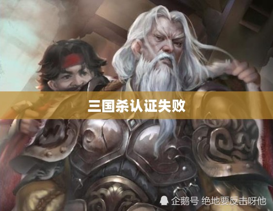三国杀认证失败，原因、解决与反思