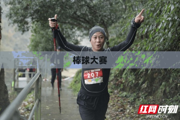 棒球大赛，激情与荣耀的碰撞