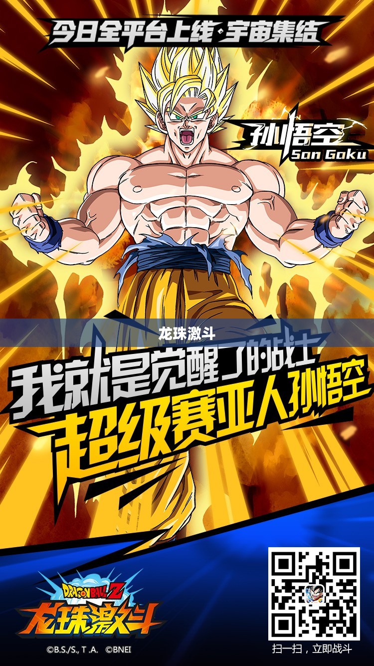 龙珠激斗，热血的战斗与不屈的斗志