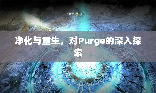 净化与重生，对Purge的深入探索