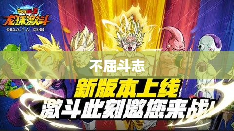 龙珠激斗,热血的战斗与不屈的斗志 龙珠激斗,热血的战斗与不屈的斗志