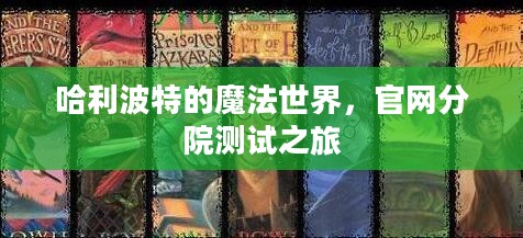 哈利波特的魔法世界，官网分院测试之旅