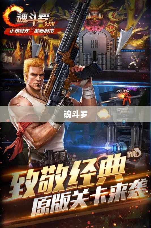魂斗罗，探索经典游戏中的三十条命之谜
