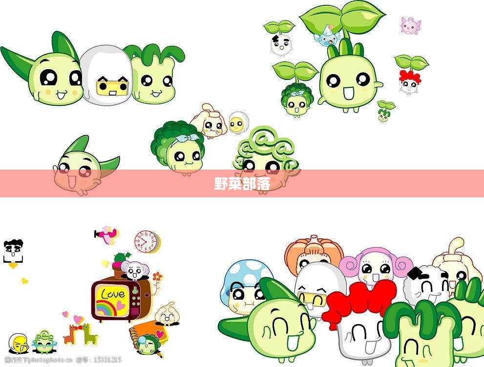 野菜部落，自然中的绿色家园