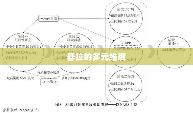 基拉的多元维度，探索与启示