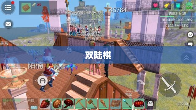 双陆棋，古老的游戏与文化的交融