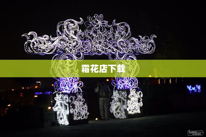 霜花店下载，历史与文化的交融之作