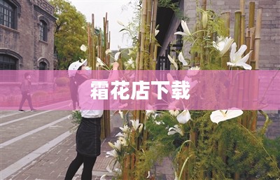 霜花店下载，历史与文化的交融之作