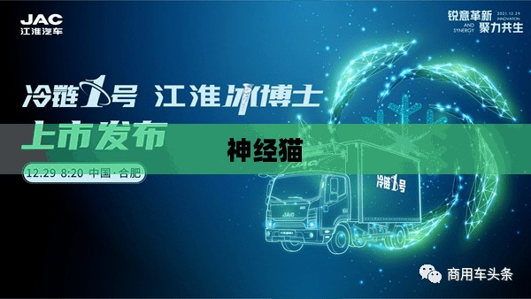 围住神经猫,一场虚拟与现实的互动体验 围住神经猫,一场虚拟与现实的互动体验