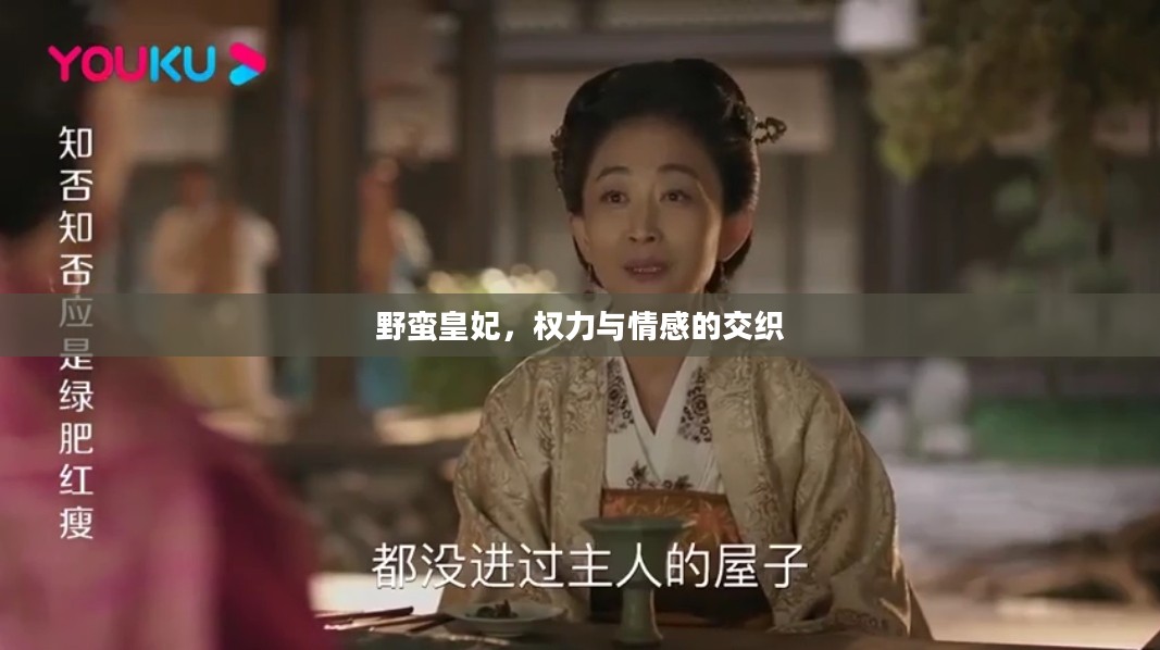 野蛮皇妃，权力与情感的交织