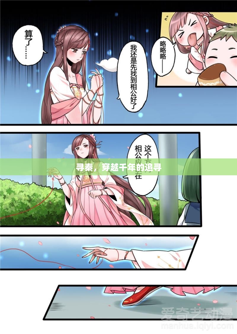 寻秦，穿越千年的追寻