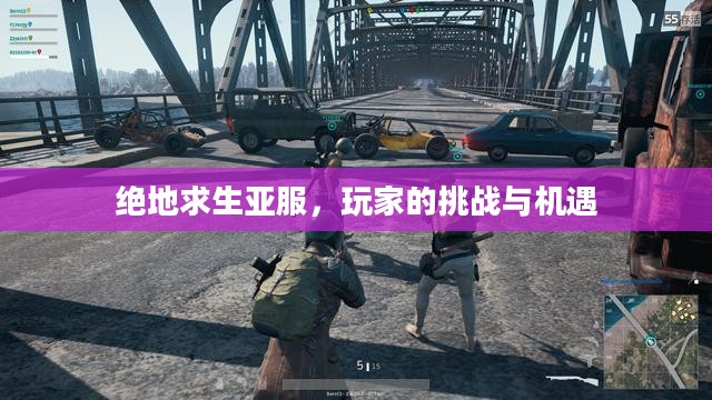 绝地求生亚服，玩家的挑战与机遇