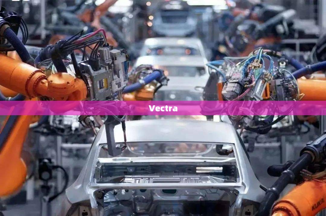 Vectra，引领数字化转型的关键力量
