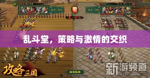 乱斗堂，策略与激情的交织