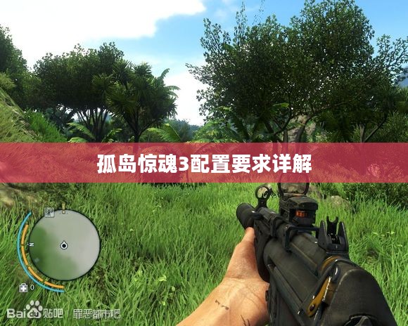 孤岛惊魂3配置要求详解