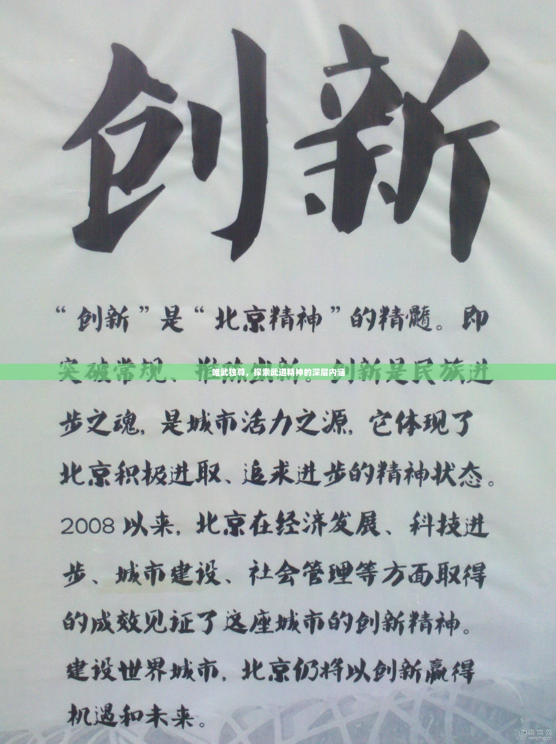 唯武独尊，探索武道精神的深层内涵