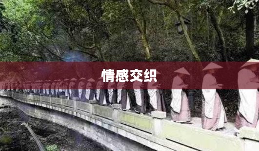 僧侣走肾,修行与情感的复杂交织 僧侣走肾,修行与情感的复杂交织