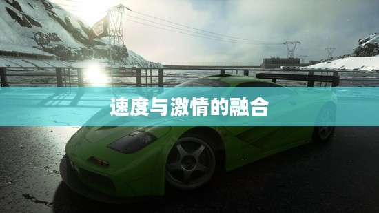好玩的单机赛车游戏，速度与激情的完美融合
