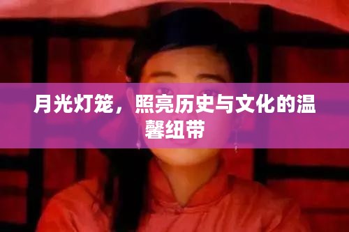 月光灯笼,照亮历史与文化的温馨纽带 月光灯笼,照亮历史与文化的温馨纽带