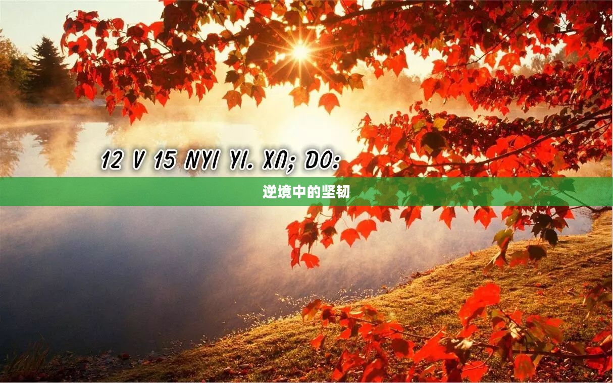 冲破封锁线，逆境中的坚韧与重生之路