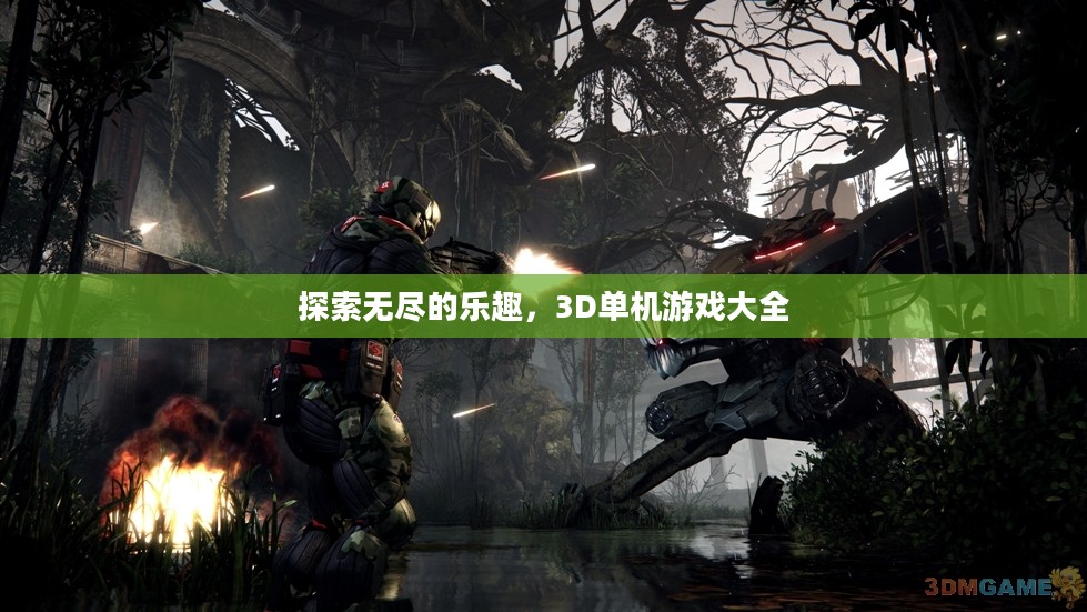 探索无尽的乐趣，3D单机游戏大全