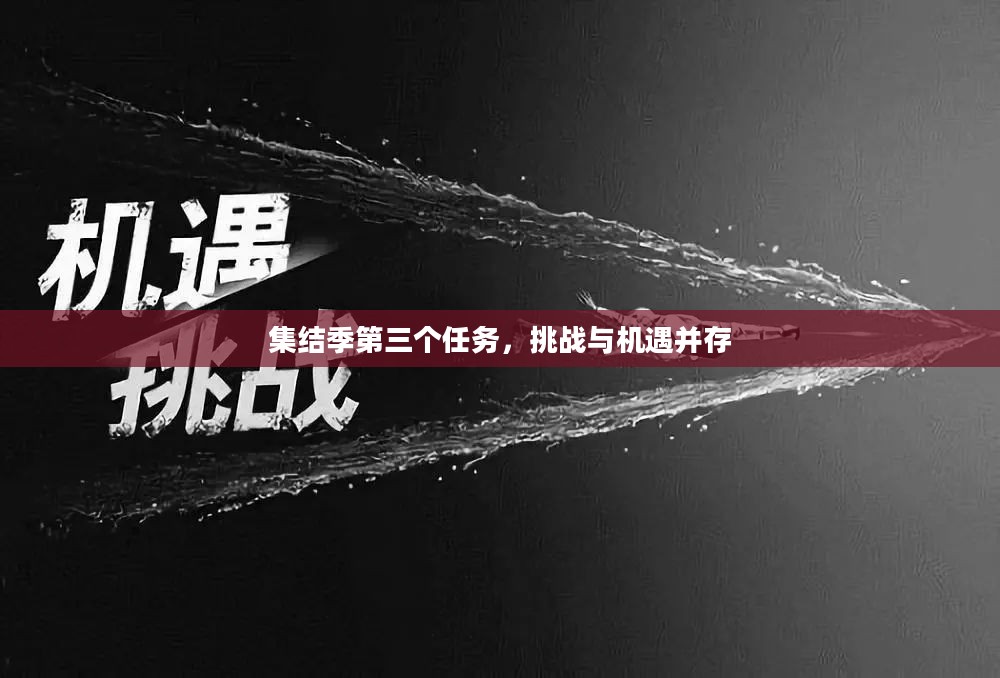 集结季第三个任务，挑战与机遇并存