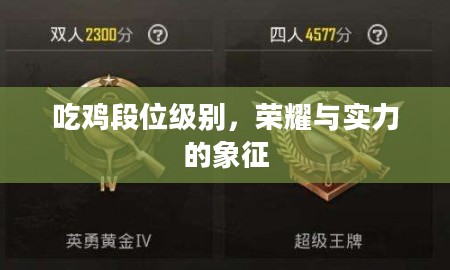 吃鸡段位级别，荣耀与实力的象征
