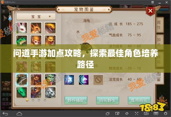 问道手游加点攻略，探索最佳角色培养路径