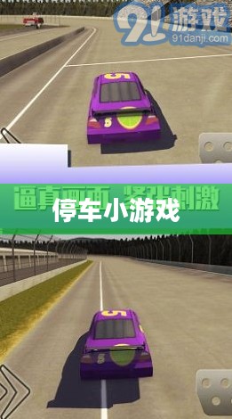 停车小游戏，乐趣与挑战并存