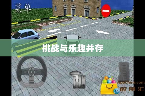 停车小游戏,乐趣与挑战并存 停车小游戏,乐趣与挑战并存