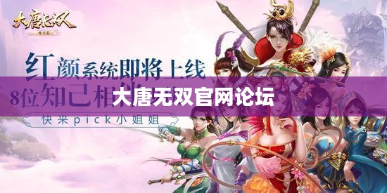 大唐无双官网论坛，游戏交流与玩家互动的绝佳平台