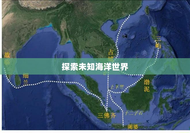 大航海时代2地图，探索未知的海洋世界