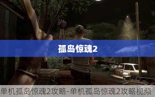 孤岛惊魂2视频攻略详解