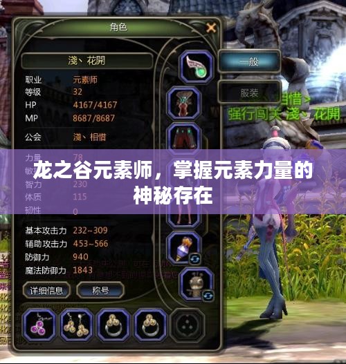 龙之谷元素师，掌握元素力量的神秘存在