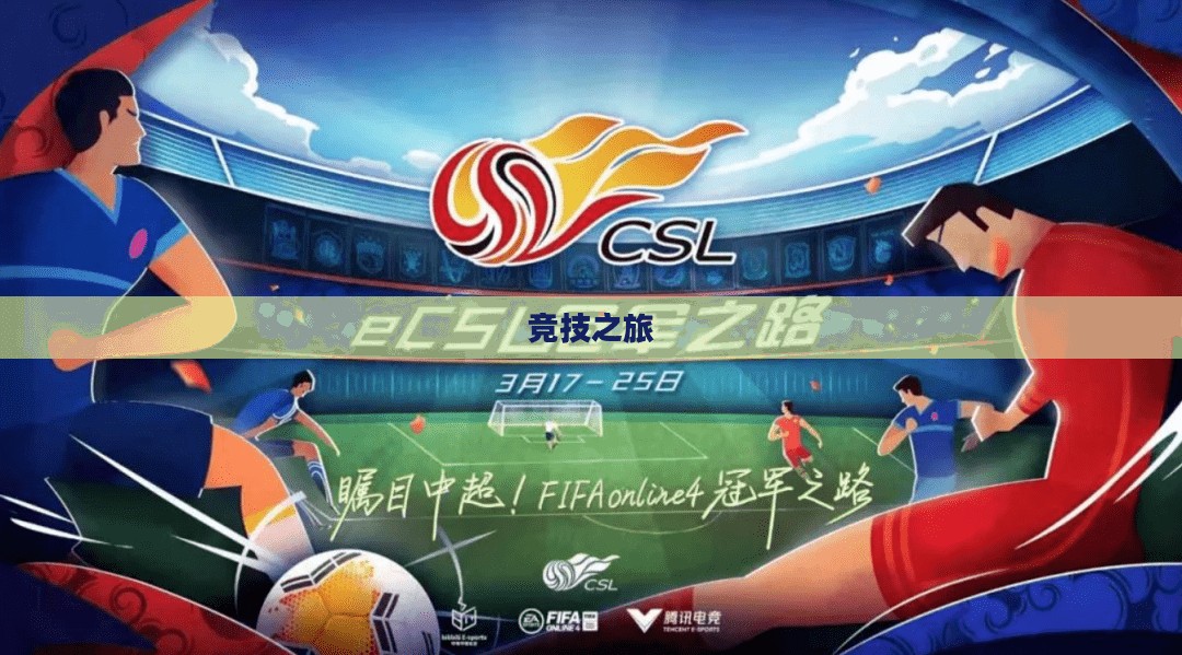 玩转丢丢球，一场充满策略与激情的竞技之旅