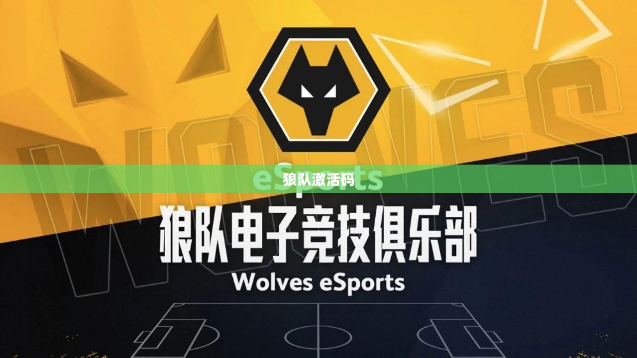 狼队激活码，探索与揭秘