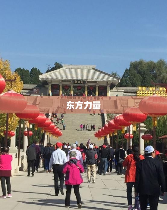 龙魂天下，探寻古老神秘的东方力量