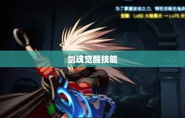 剑魂觉醒技能，深度解析与实战应用