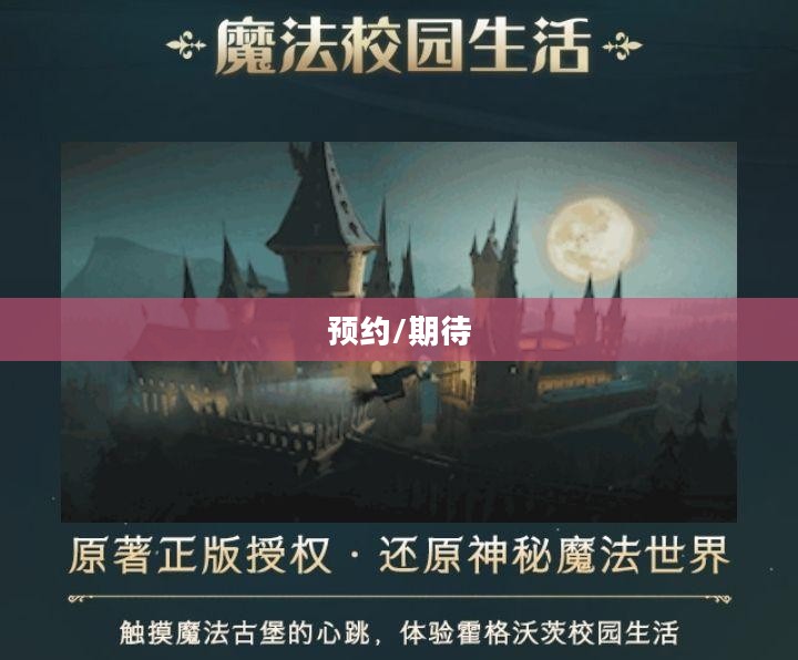 哈利波特魔法觉醒预约，一场奇幻之旅的期待