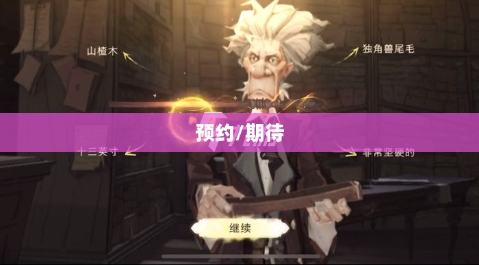 哈利波特魔法觉醒预约,一场奇幻之旅的期待 哈利波特魔法觉醒预约,一场奇幻之旅的期待