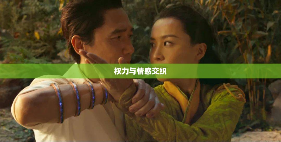 后宫传奇，权力与情感的交织